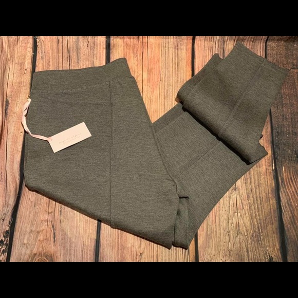 Evy’s Tree Pants - Evy’s Tree Ponte Pants XL